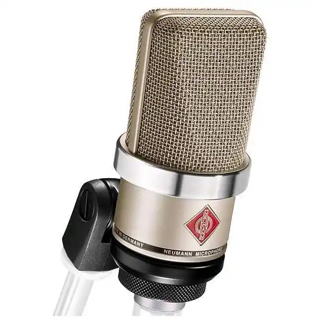 Finale Aktion Neumann TLM 102