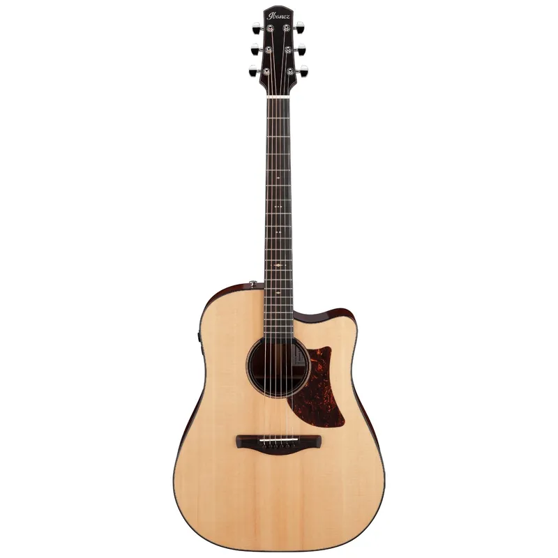 Sichere Zahlung Ibanez AAD400CE-LGS