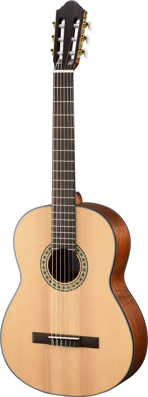 WALDEN N550E Natura Elektro-Akustik-Gitarre 4/4 inkl. Tasche, natur Begrenztes Angebot