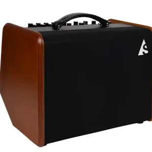 Garantierte Lieferung GODIN ASG-8 WD Acoustic Solution Combo 120W/8Zoll Akustikverstärker, wood