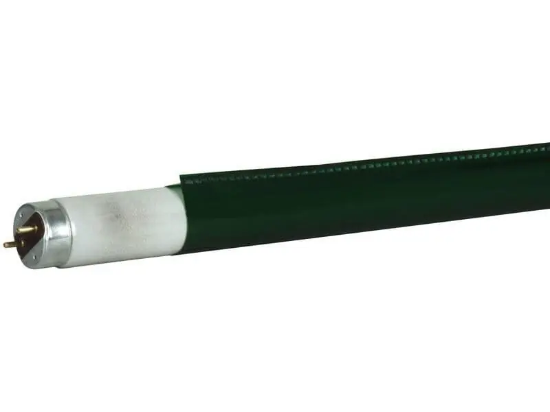 Showtec C-Tube T8 1200 mm 139C - Primary Green - Colour fast filter Sonderaktion