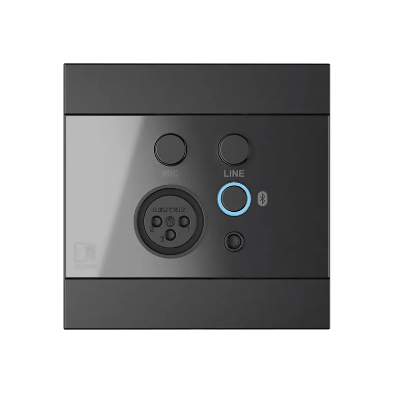 Audac WP225/B - Wandbedienfeld, Mic- & Line- & Bluetooth-In Knallerangebot