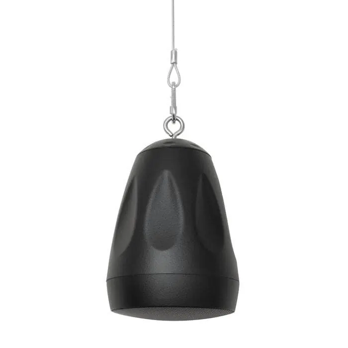 DAP DPS-530, 5,25‘‘, 30 W Hängelautsprecher, Schwarz Billig