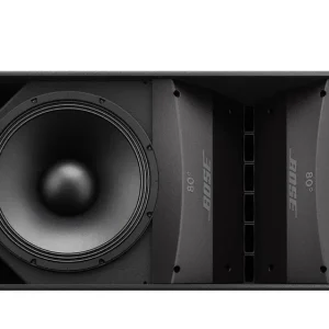 Bose ArenaMatch AM20/100 Outdoor Lautsprecher Heißes Angebot
