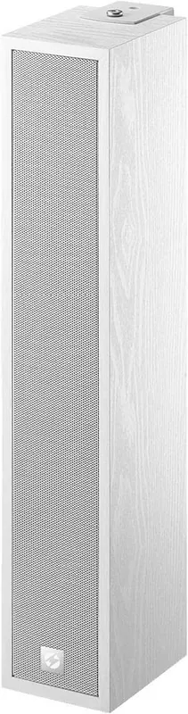 Begrenztes Angebot MONACOR ETS-340TW/WS ELA-Tonsaeule